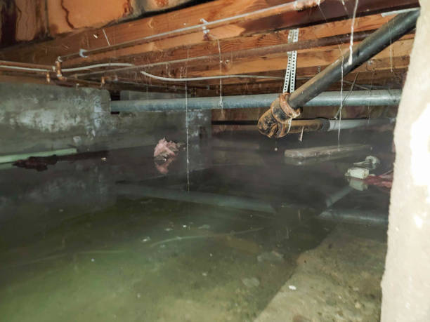 Best Water damage restoration near me  in Wagoner, OK