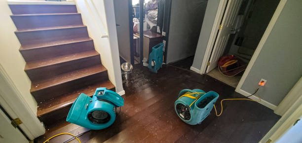 Best Flood damage cleanup  in Wagoner, OK