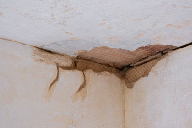 Best Water damage restoration cost  in Wagoner, OK