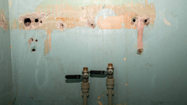 Best Water damage cleanup near me  in Wagoner, OK