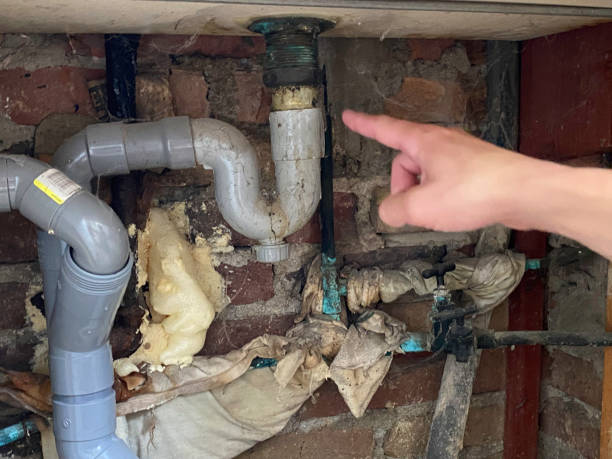 Best Mold removal after water damage  in Wagoner, OK